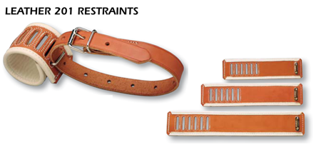 Leather 201 Restraints Options